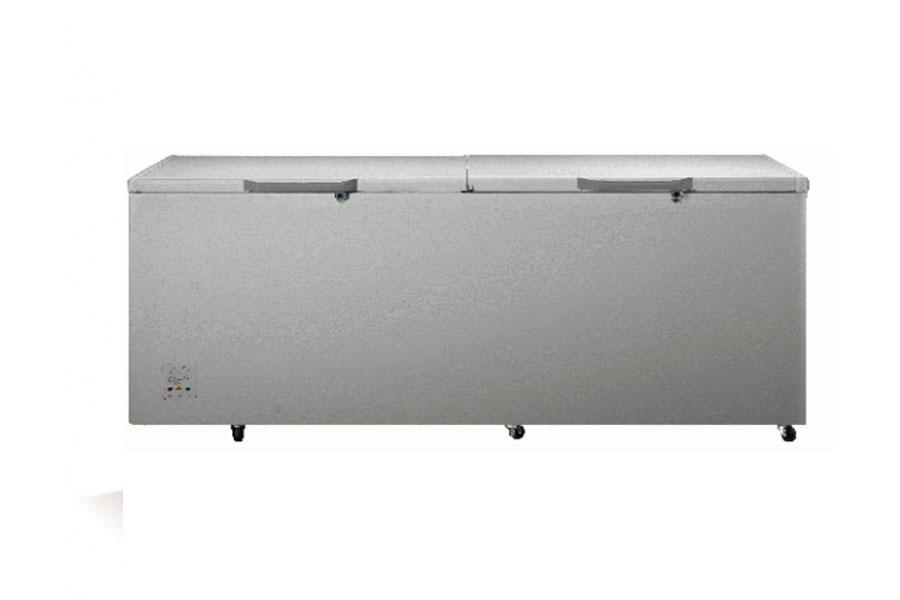 Hisense Double Door Chest Freezer 702L|R600 GAS|FC-91DD | R600 Gas