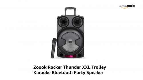 ROYAL SOUND RS 1034 10 INCH TROLLEY SPEAKER
