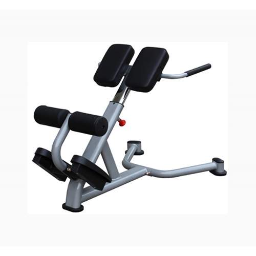 LITE FITNESS F-A59 ROMAN CHAIR