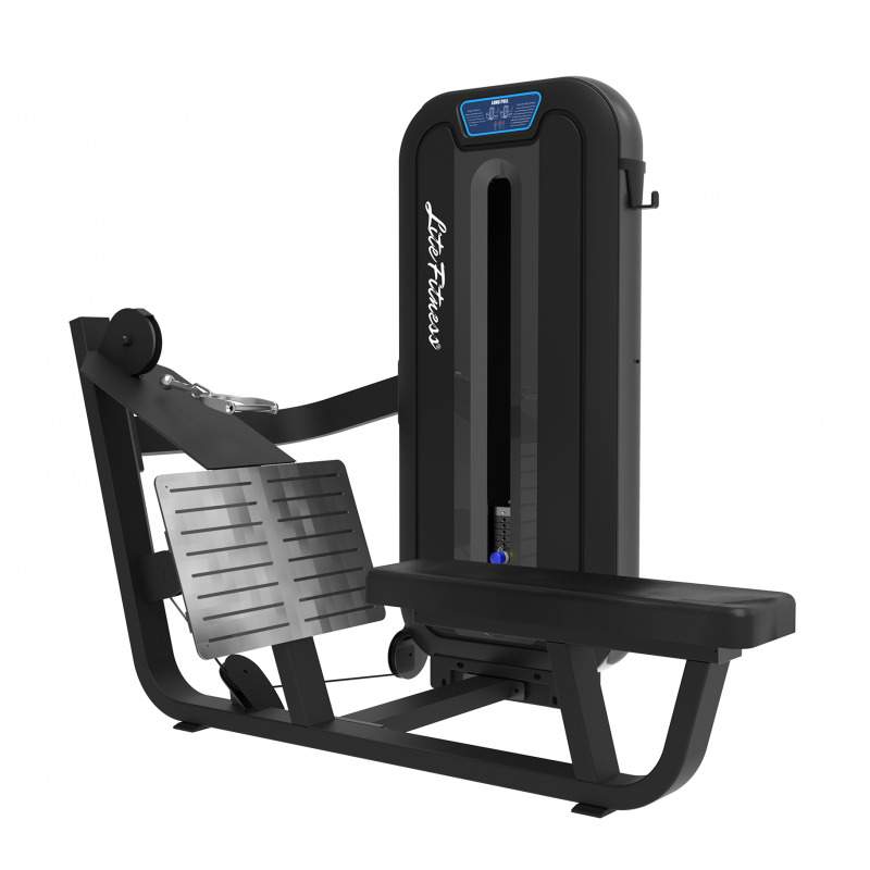 LITE FITNESS LD8033 LONG PULL