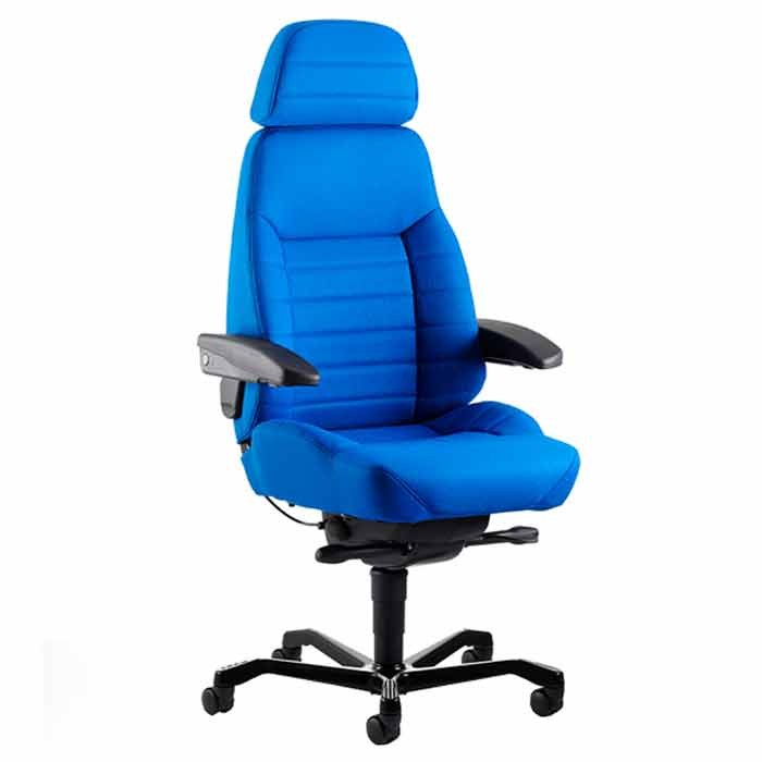 Deluxe Executive Ergonomic Chair (Orthopedic)