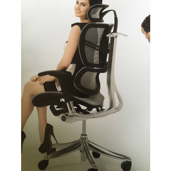 Deluxe Executive Ergonomic Chair IQMesh Model