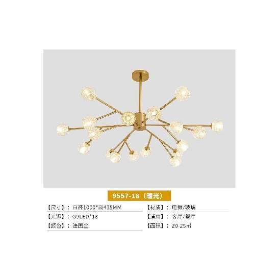 BY 20 LED CHANDELIER QUALITY DESIGNED LIGHT- FOR INDOOR USE (CILIP)