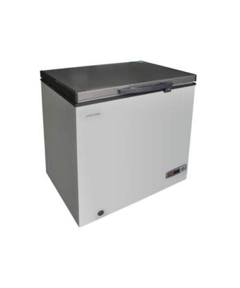 Bruhm Freezer | BCS-160MR R600 - Silver